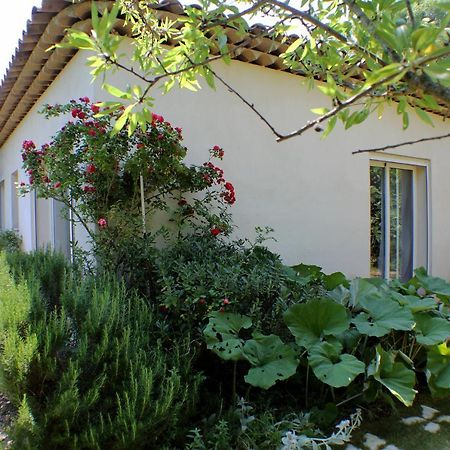 Le 275 La Colle-sur-Loup Exterior foto